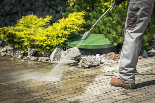 Best Oil Spill Cleanup  in West Jefferson, NC