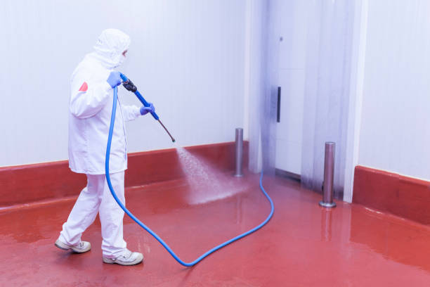 Reliable West Jefferson, NC Pressure Washing Services Solutions